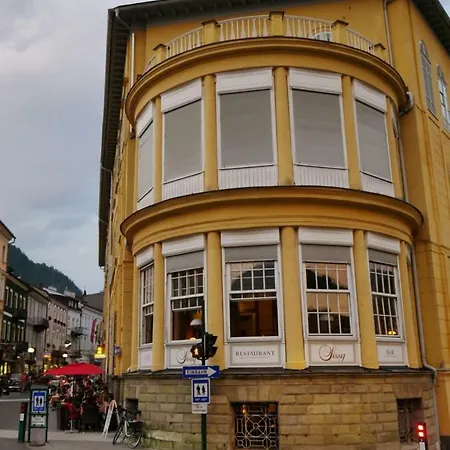 Gemutliche 4 Zimmer Whg In Der Residenz Elisabeth Daire *